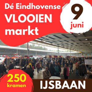 Dé Eindhovense Vlooienmarkt - 9 juni 2024