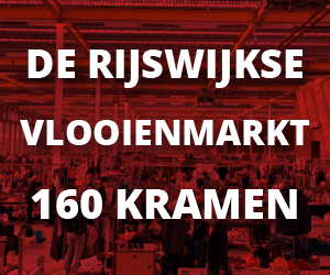 VLOOIENMARKT RIJSWIJK DE SCHILP ZATERDAG 30 DECEMBER